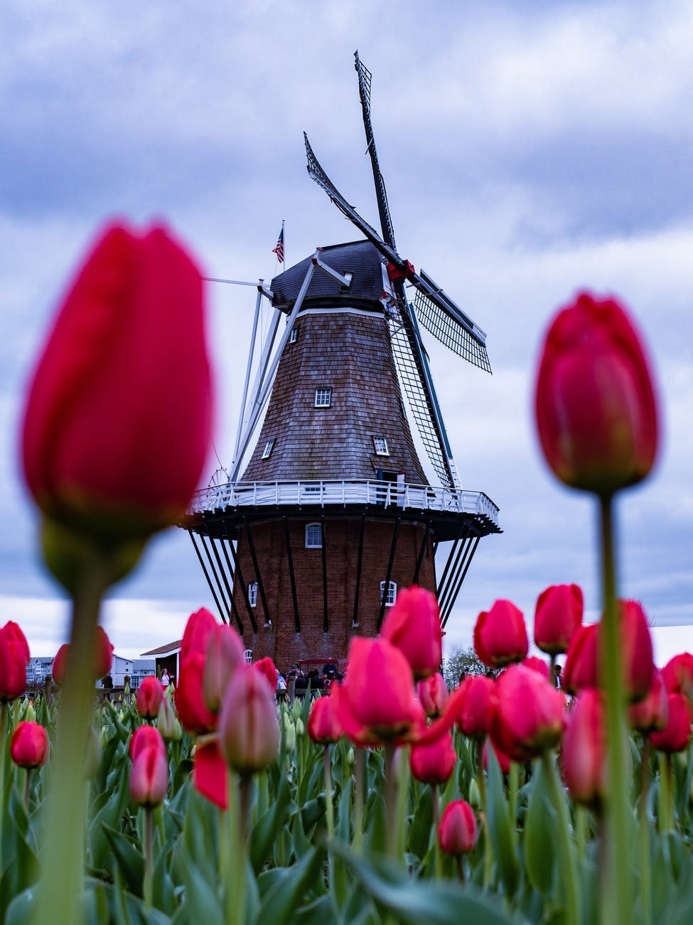 2021 Dutch Elections – How are the party pages competing on&nbsp;Facebook?