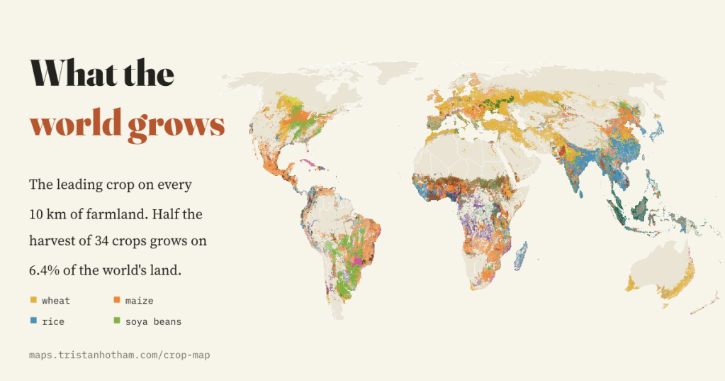 Title card reading 'What the world grows' in black and terracotta on cream, beside a world map colouring farmland by its leading crop: gold wheat across Europe and the steppes, orange maize, blue rice in Asia and green soya beans in the Americas. Text: half the harvest of 34 crops grows on 6.4% of the world's land.