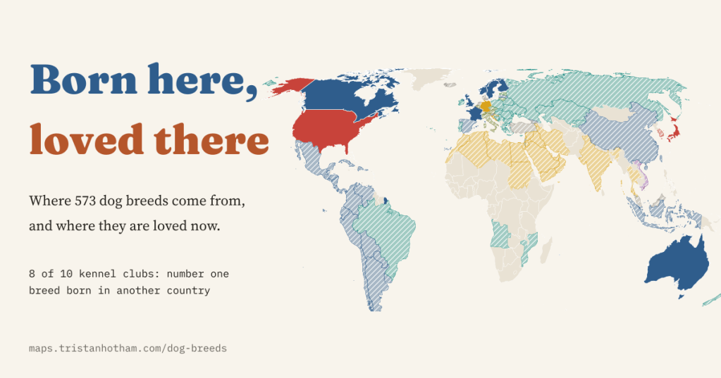 Title card reading 'Born here, loved there' in blue and rust on cream, beside a world map coloured by the birthplace of each country's favourite dog breed: British blue across Canada, Australia and northern Europe, French red over the United States, German gold over Germany, hatched colours where a Wikipedia stand-in is used. Text: where 573 dog breeds come from and where they are loved now; 8 of 10 kennel clubs have a number one breed born in another country.