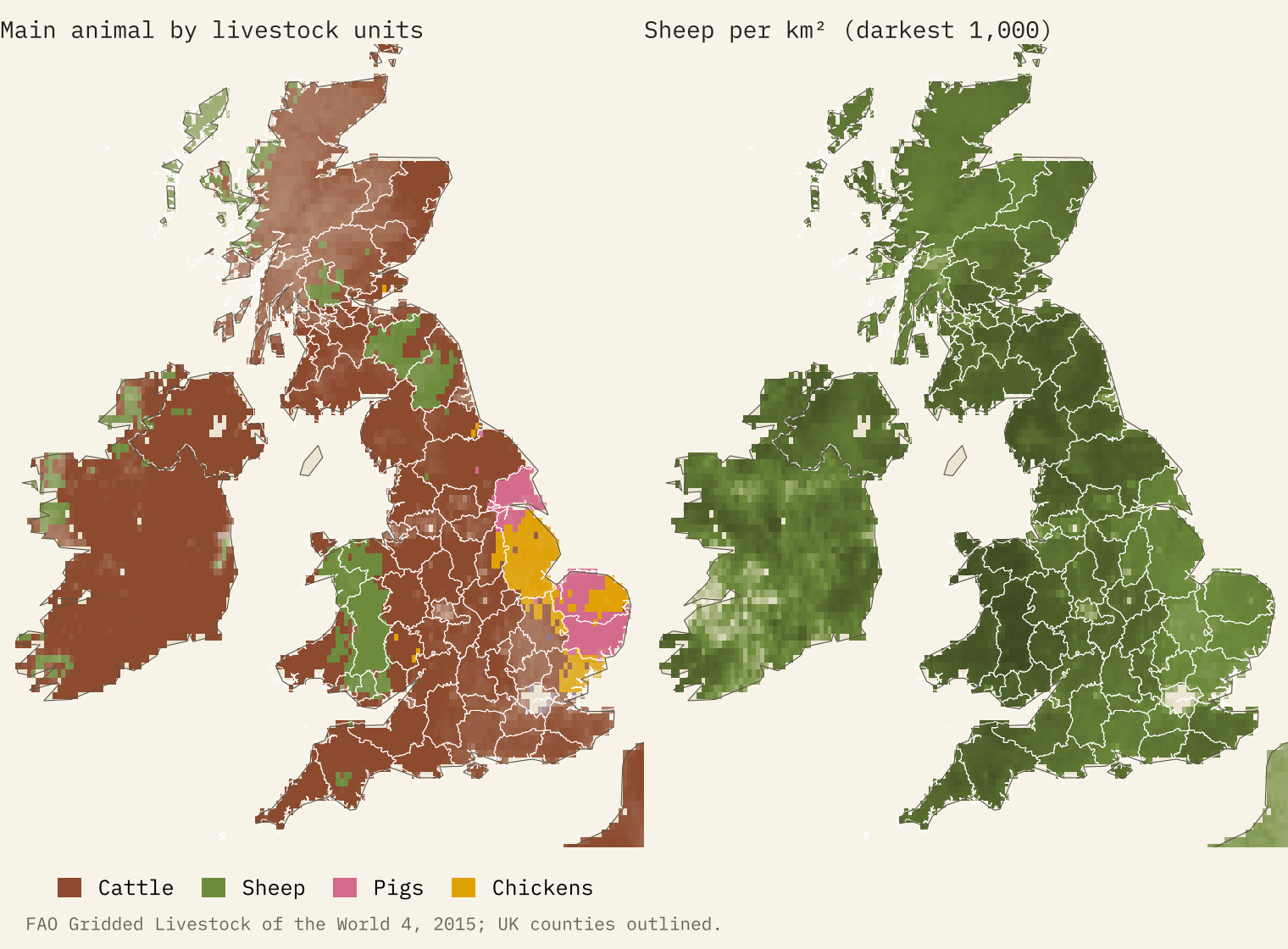 Two maps of Britain and Ireland. Left, the main animal by livestock units: cattle across most of Ireland, England and Scotland, green sheep in Wales, Northumberland and the Scottish Borders and the Western Isles, pink pigs in the East Riding of Yorkshire, Norfolk and Suffolk, and gold chickens in Lincolnshire and Essex. Right, sheep density, darkest in Wales and the hills of northern England and southern Scotland