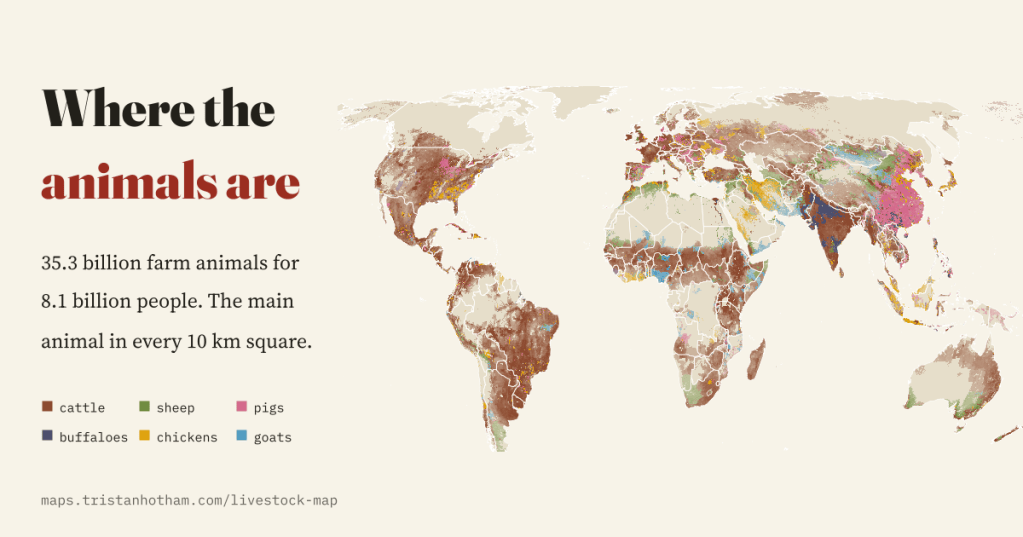 Title card reading 'Where the animals are' in black and barn red on cream, beside a world map colouring every 10 km square by its main farm animal: brown cattle across most continents, pink pigs over eastern China, dark blue buffaloes over northern India, green sheep in Patagonia, South Africa and Australia. Text: 35.3 billion farm animals for 8.1 billion people.